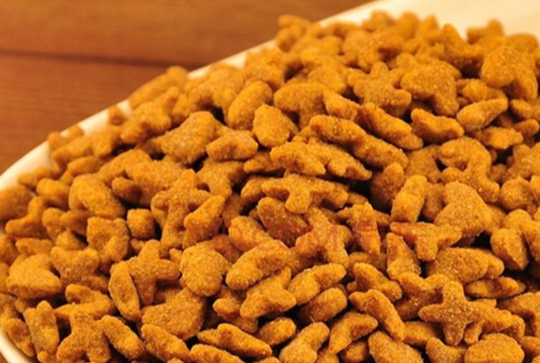宠物饲料是什么垃圾?过期剩余宠粮垃圾分类详解