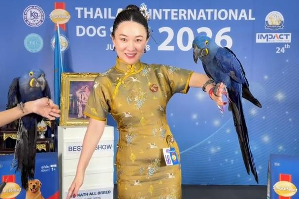 霍思燕:鹦鹉不是我的!泰国合影乌龙事件完整始末