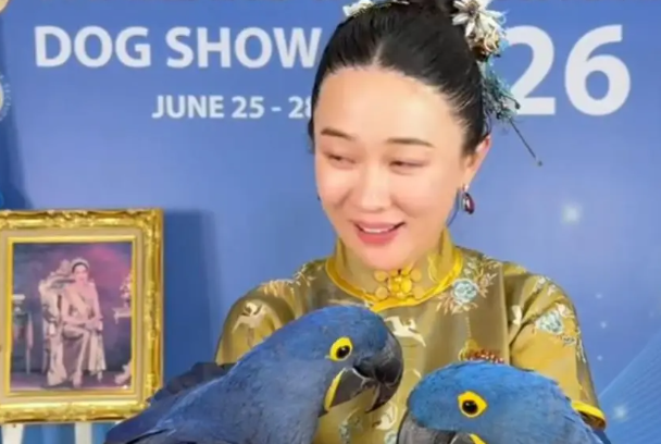 霍思燕:鹦鹉不是我的!泰国合影乌龙事件完整始末