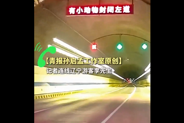 隧道为保护误入小狗封闭道路!青岛暖心处置全过程曝光