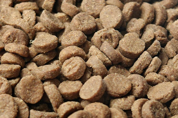 猫粮品牌有哪些？2026主流靠谱猫粮品牌大全及选购攻略