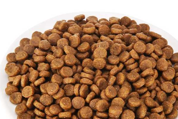 猫粮品牌有哪些？2026主流靠谱猫粮品牌大全及选购攻略