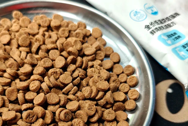 什么猫粮增肥效果好？2026靠谱长肉猫粮推荐及科学喂养技巧