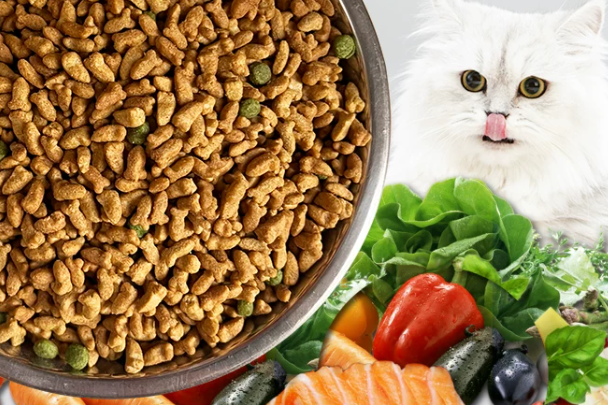 猫粮品牌有哪些？2026主流靠谱猫粮品牌大全及选购攻略