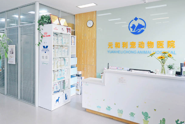 宠物医院检查细小多少钱?2026收费标准及避坑指南