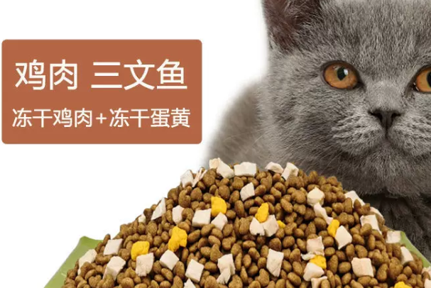 冻干猫粮怎么喂?新手必看正确喂食方法与禁忌大全
