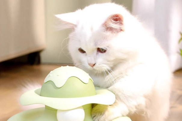 猫玩具哪些比较好?分场景高性价比猫咪玩具推荐