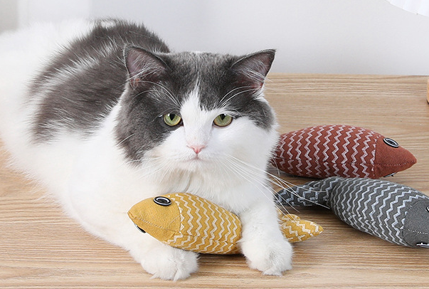 猫玩具哪些比较好?分场景高性价比猫咪玩具推荐